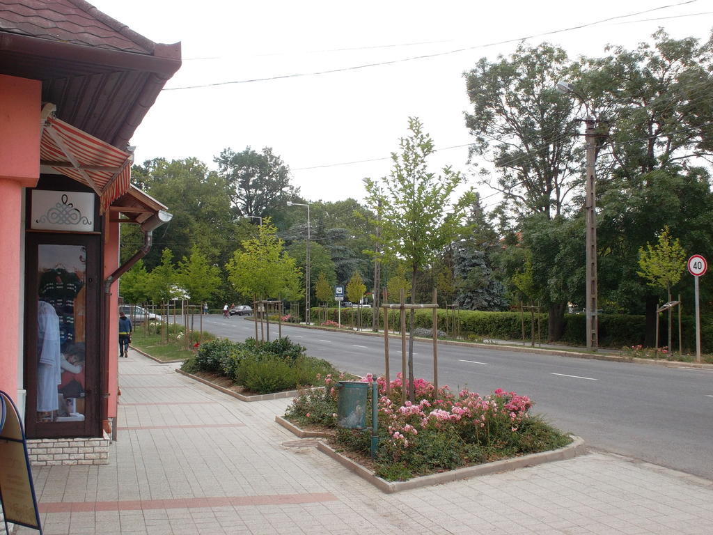 Delfin Apartman Sarvar Bagian luar foto